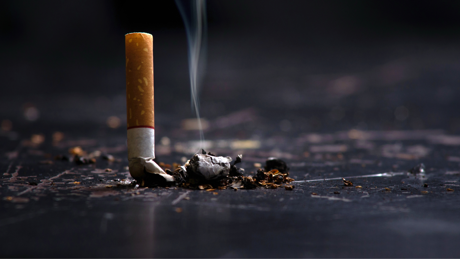 Minns Labor government forced into inquiry after long silence on illegal tobacco trade