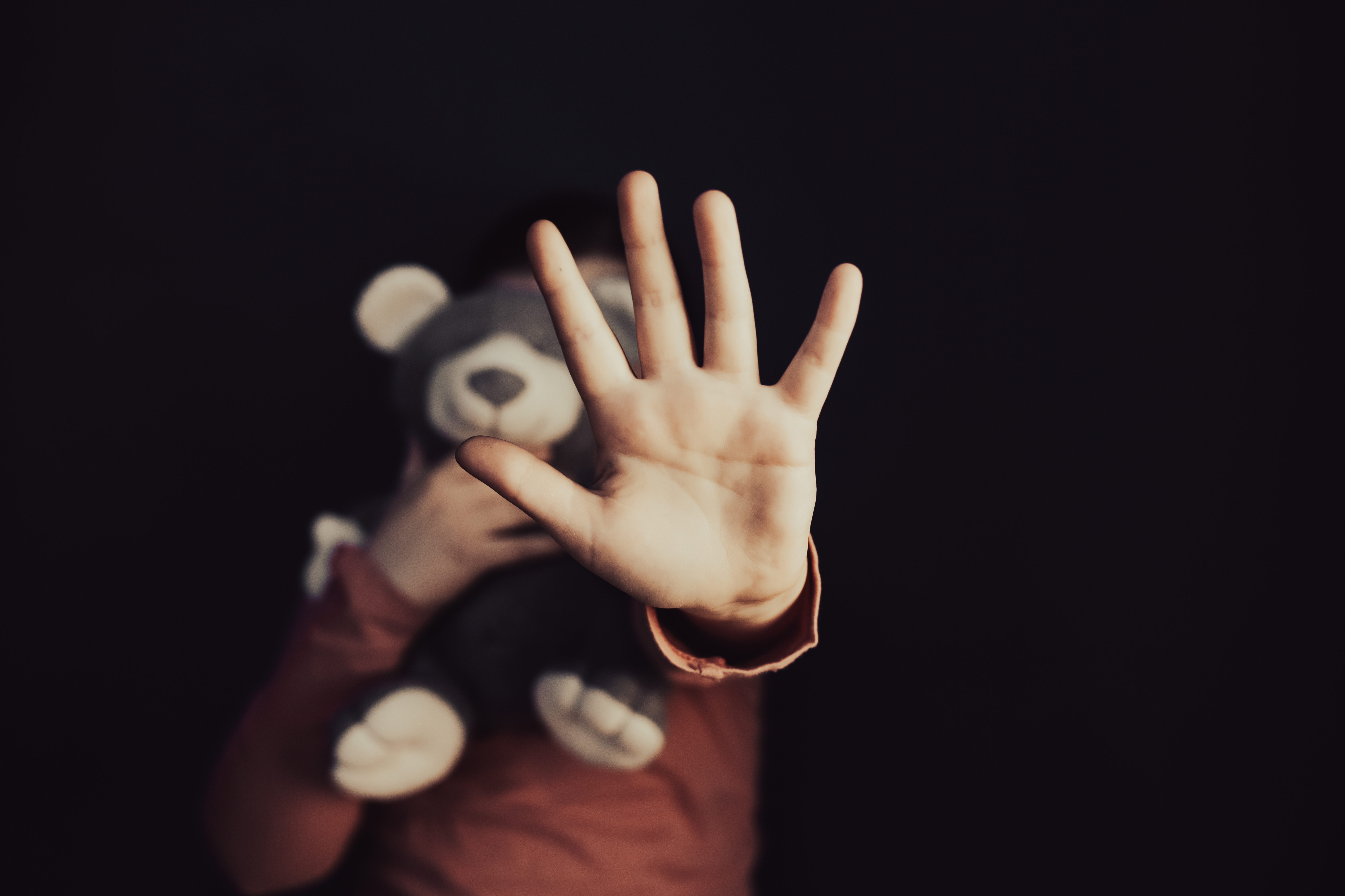 NSW Liberals and Nationals to introduce strong laws to protect children from extremist grooming...