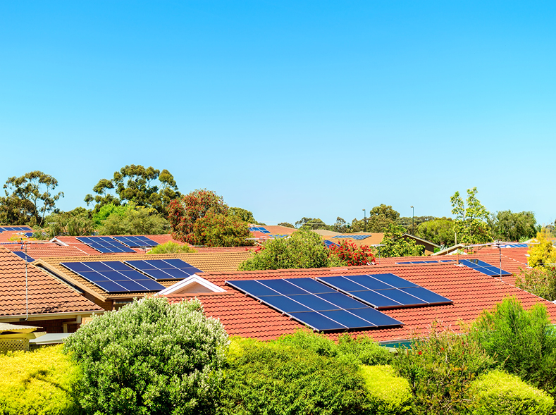 Labor's New Energy Apprenticeship Scheme a Franken-swine