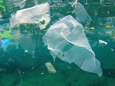 Diving against debris ahead of plastic ban