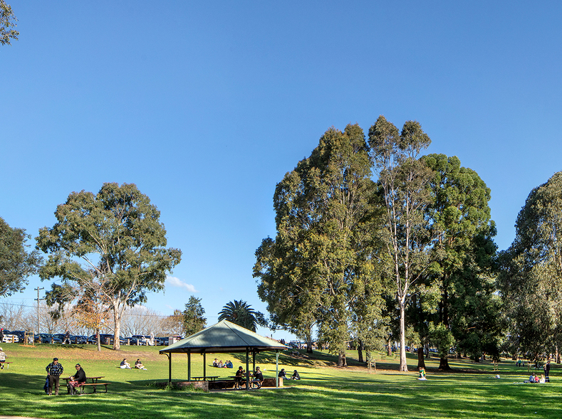 Toasting the transformation of tench reserve