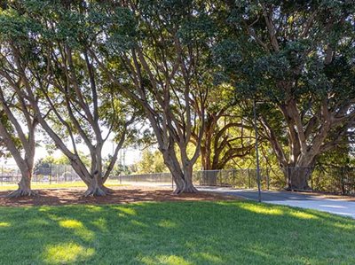 FROM BRICK PIT TO PUBLIC PARK: NEW GREEN SPACE OPENS IN HOMEBUSH