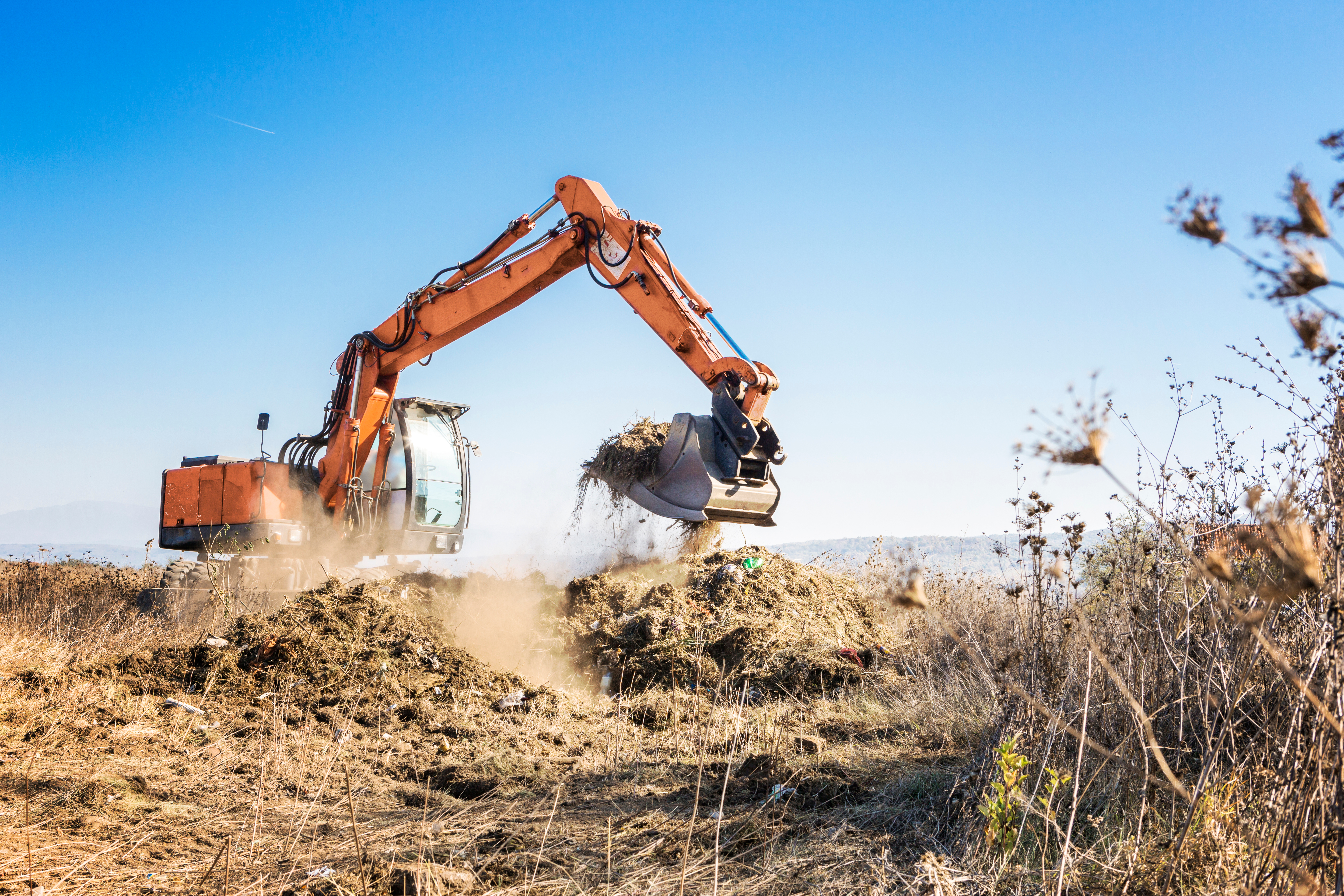 Land clearing in NSW surges 40% as the Minns Labor Government stands by and looks on in horror
