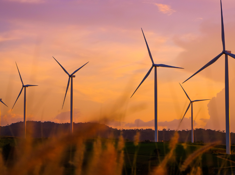 Five out of five – Illawarra REZ declared