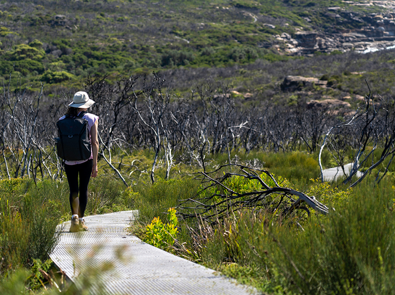 Investing in nature to support biodiversity and landholders