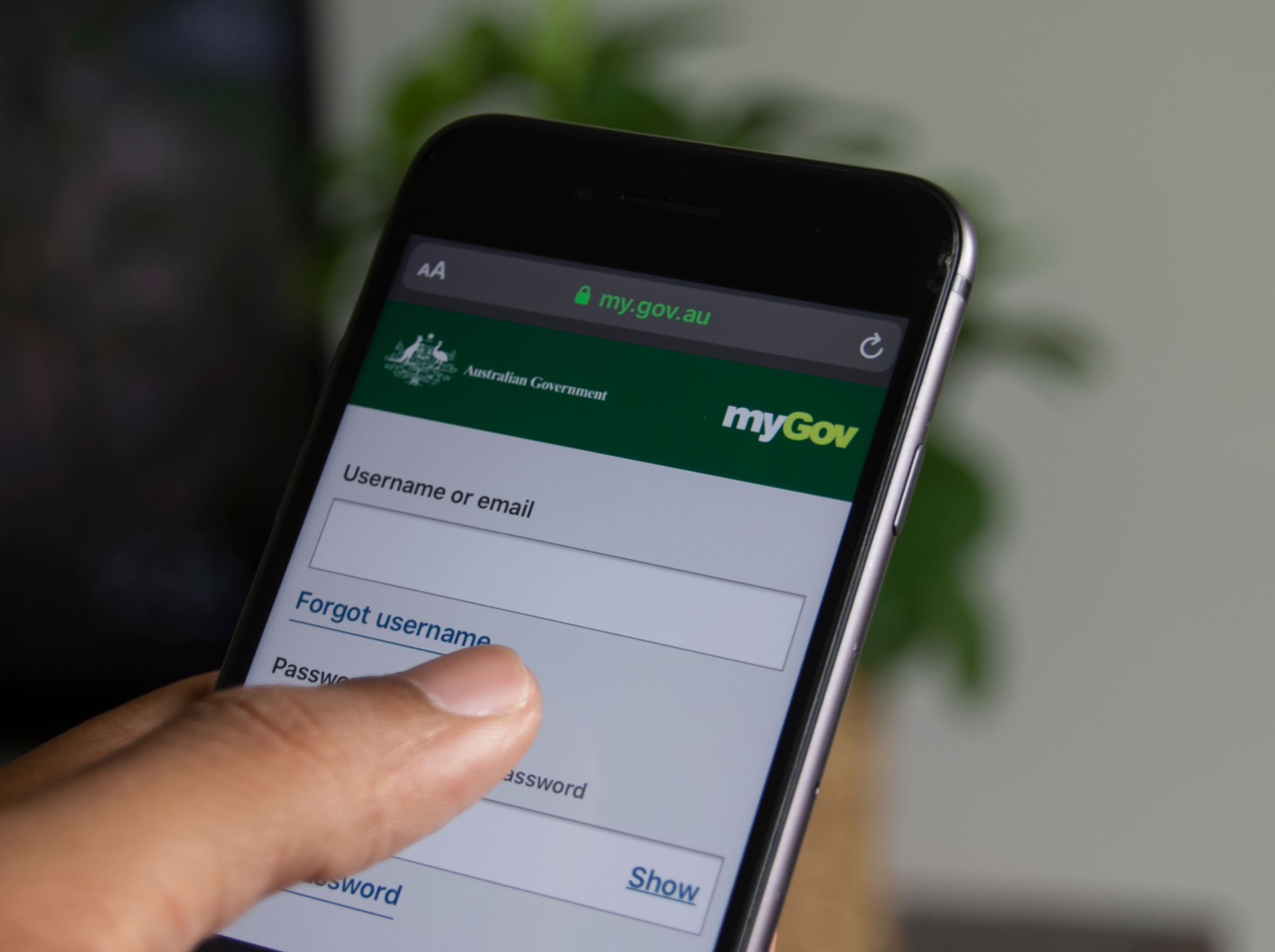 Digital ID program in disarray under Labor