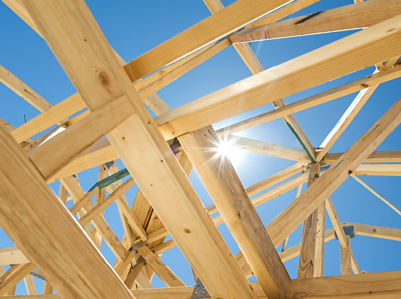 Independent review of the housing delivery authority must be made public