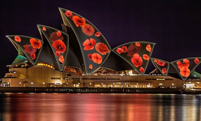 POPPIES RETURN TO THE SYDNEY OPERA HOUSE