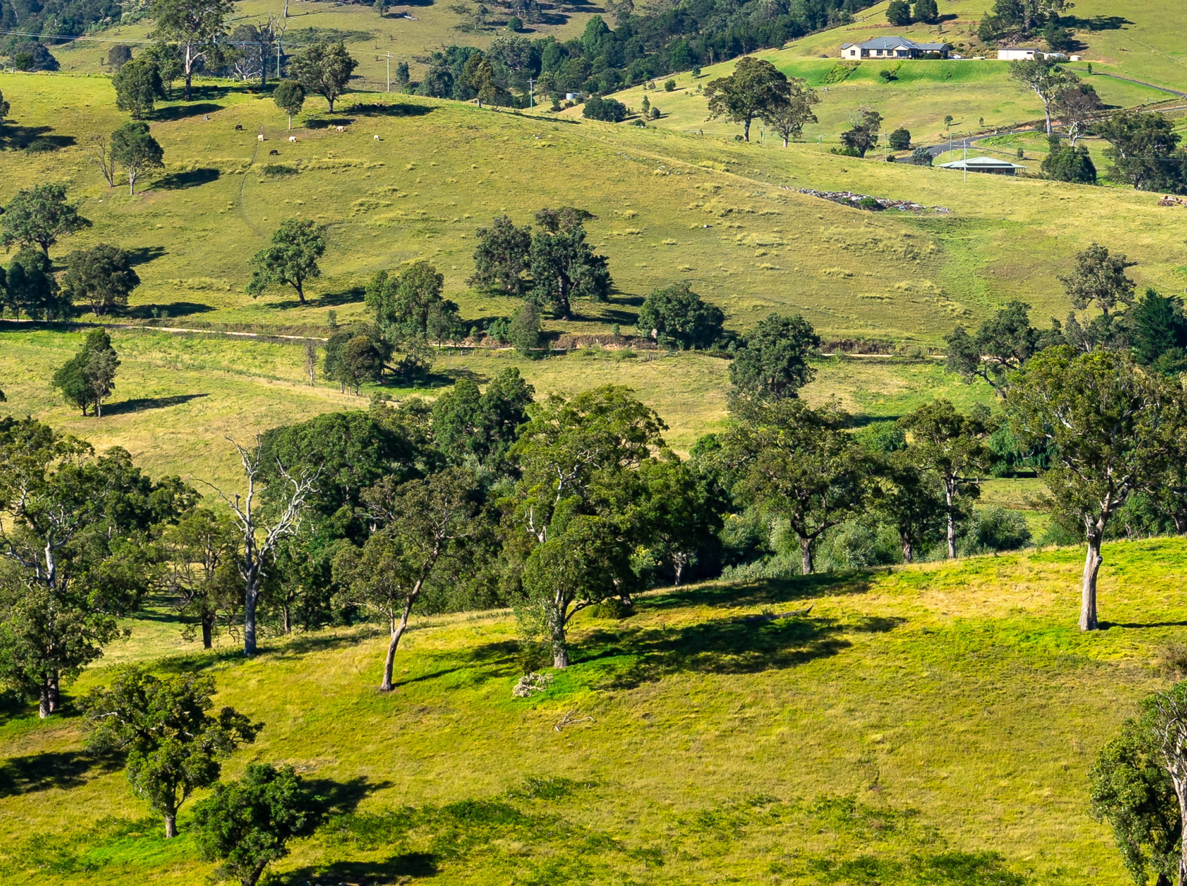 Labor betrays Cootamundra and Gundagai communities
