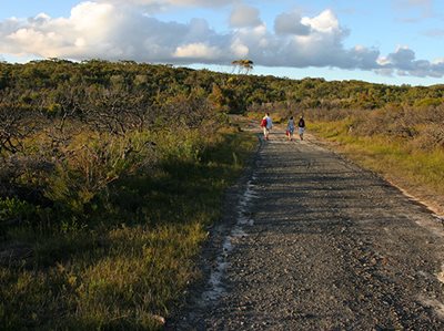 Historic Investment in Iconic National Parks