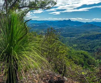 Next step to protect Wollumbin National Park