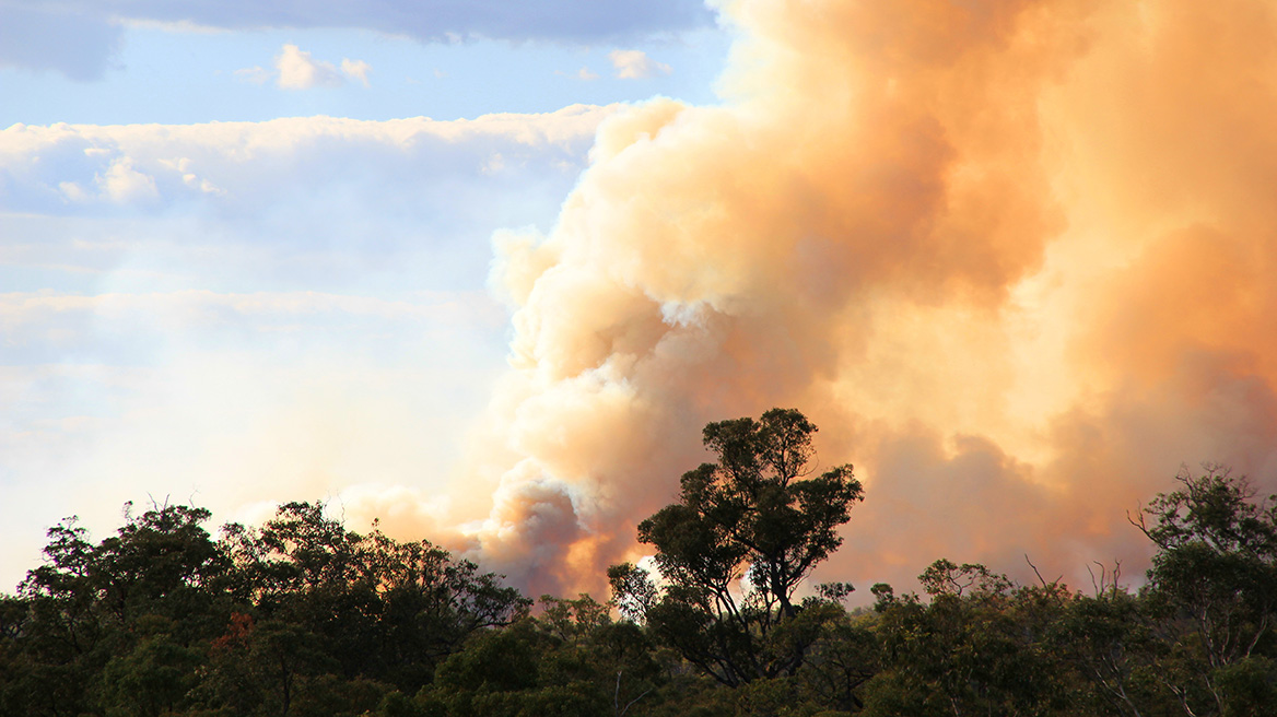 Aboriginal working group for cultural fire management - Liberal