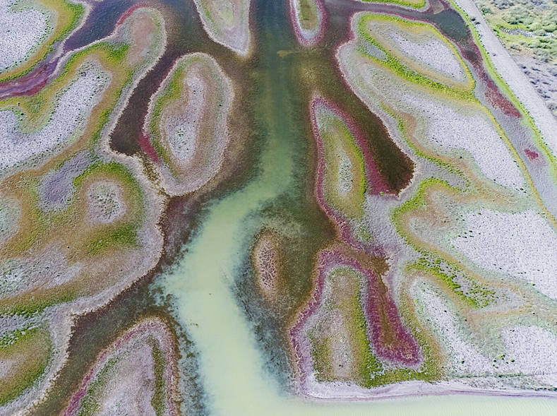 Area the size of almost 29700 Sydney Cricket Grounds conserved forever