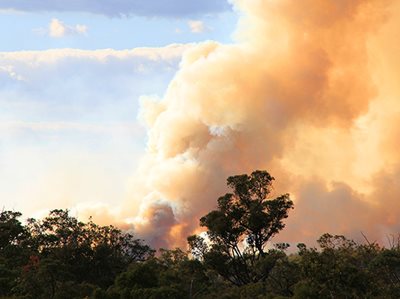 Innovative bush fire tech put to the test