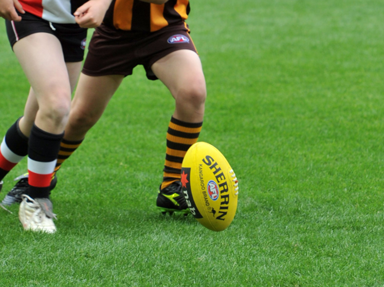 Liberals commit to Hammondville Oval upgrades