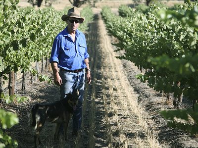 $4 million to support Australian wine producers to go global