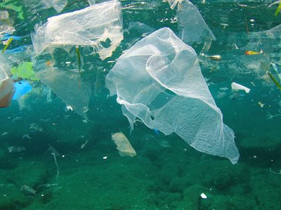 Opposition Calls On Government To Beat Plastic Pollution